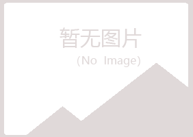 白山晓夏水泥有限公司